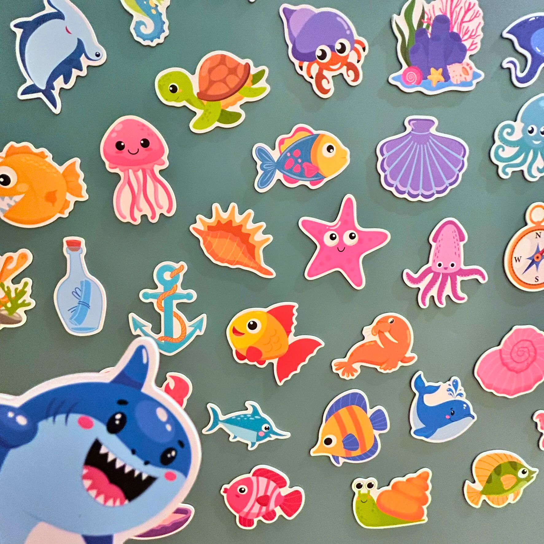 Ocean Magnets (47pcs)